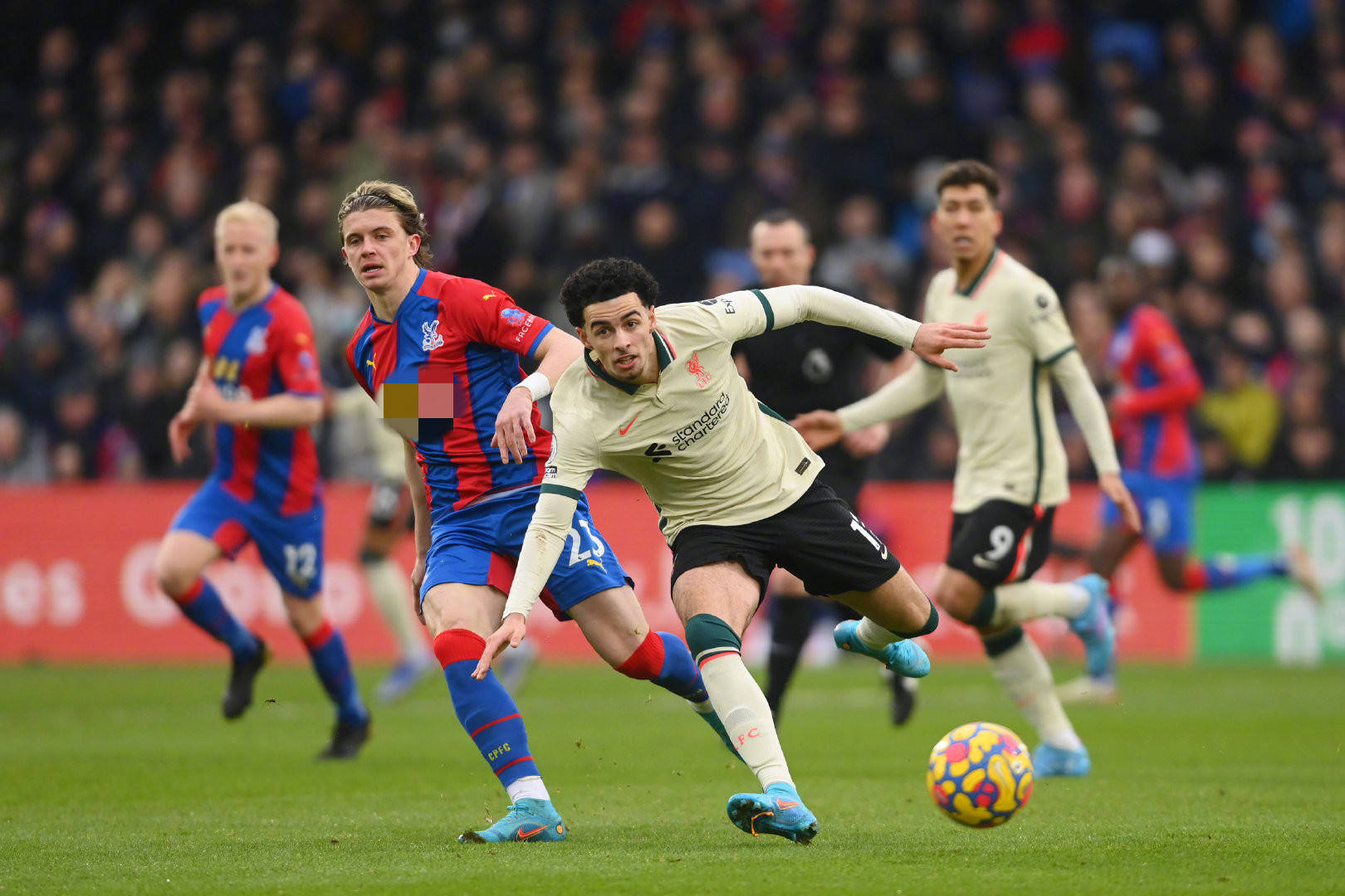 除了喜悦 除了喜悦